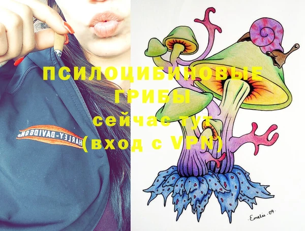 эйфоретик Богородицк