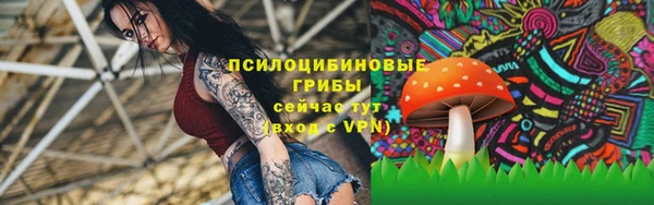 мескалин Богданович