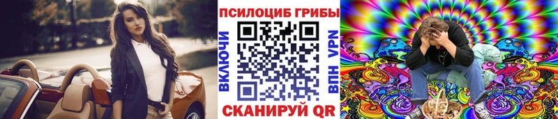 купить  сайты  Шумиха  Галлюциногенные грибы Psilocybe 