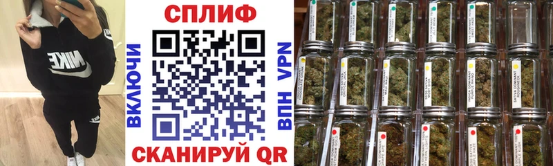 Конопля White Widow Шумиха